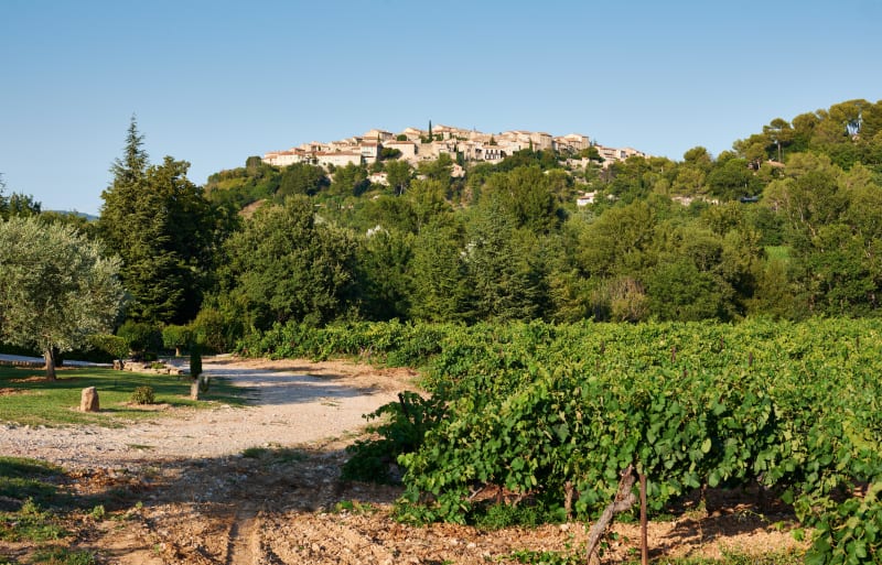 Grambois et joie d'une randonnée typiquement provençale - Grambois