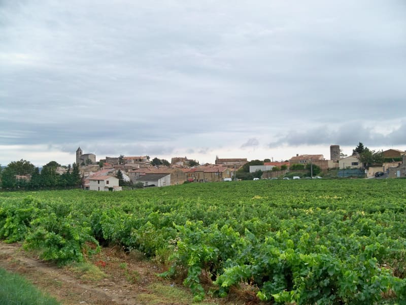 Rochefort-du-Gard et excursion chargée d'histoires - Rochefort-du-Gard
