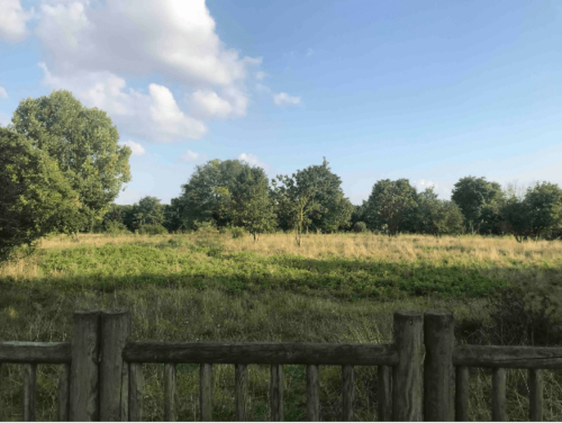 Montreuil : parc des Beaumonts et Butte aux Papillons - Montreuil