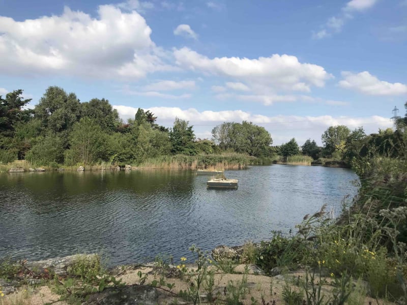 Parc des Chanteraines, un vrai parc d'aventure - Villeneuve-la Garenne