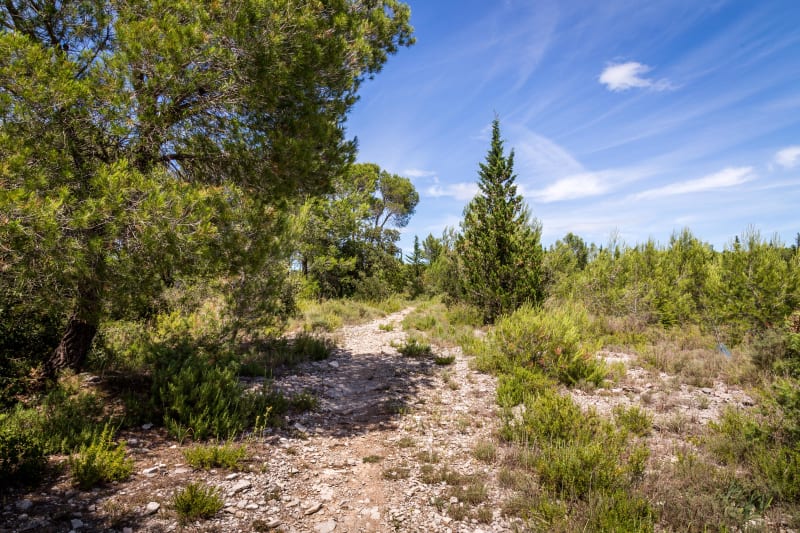 Cadre paradisiaque et Croc d'Enfer depuis Velleron - Velleron