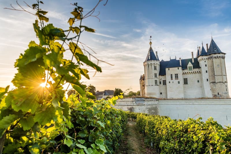 De Saumur à Fontevraud-l'Abbaye par La Loire à Vélo en 2 jours - Saumur