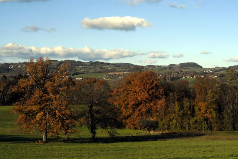 Sur les hauteurs de Marcellaz-Albannais - Marcellaz-Albanais