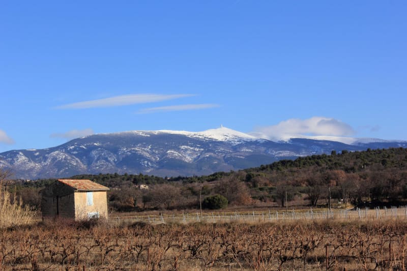 Vignes de Mazan et moment de détente dans le Vaucluse - Mazan