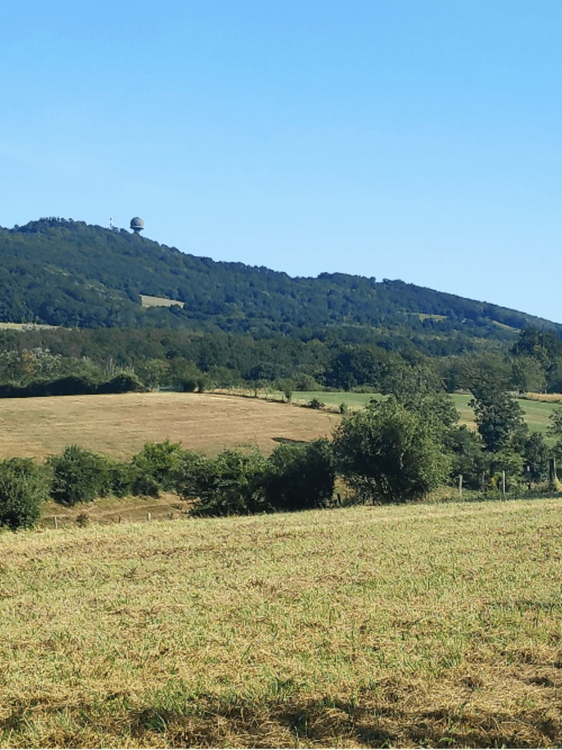 Secrets des pierres et des paysages à Lissieu - Lissieu
