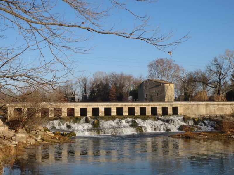 Villetelle et moment hors du temps dans la garrigue - Villetelle