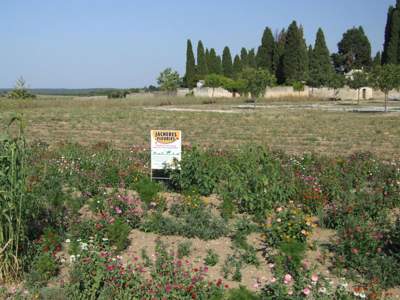 Sur la voie du terroir à Aigues-Vives - Aigues-Vives