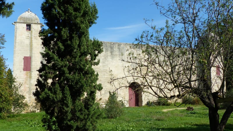 Fourques et randonnée bucolique à souhait - Fourques