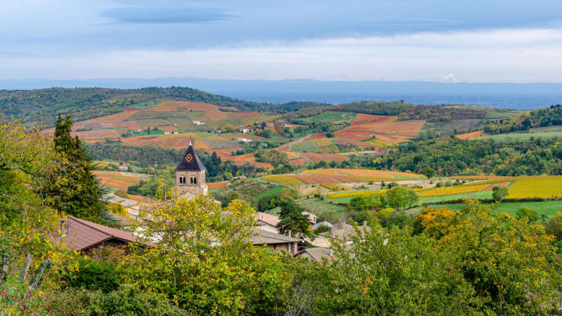 Vauxrenard et virée délicieuse à travers des mers de vignes - Vauxrenard