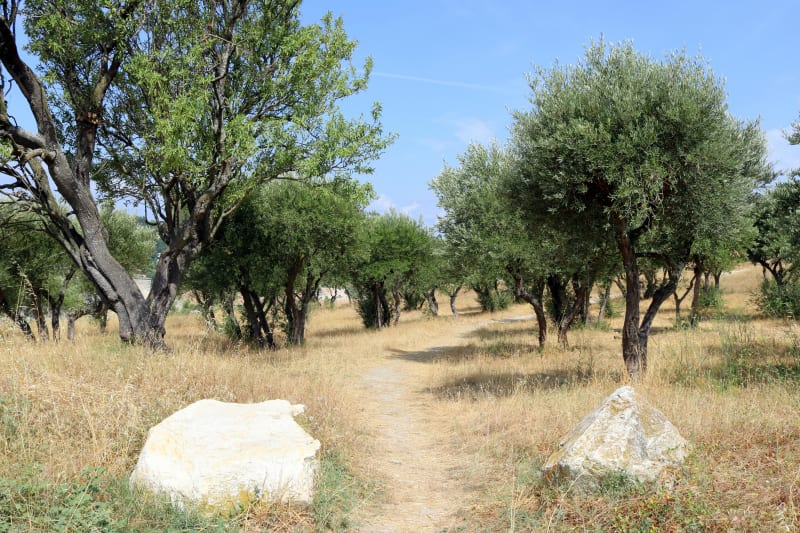 Valliguières et virée de rêve vers la forêt de Malmont - Valliguières