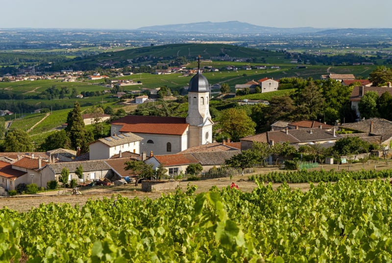Chiroubles et trip pour voir le Beaujolais en grand ! - Chiroubles