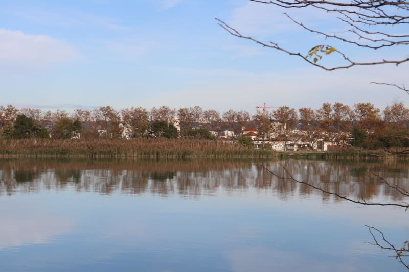 Meyzieu et tour rafraîchissant au bord du canal de Jonage - Meyzieu