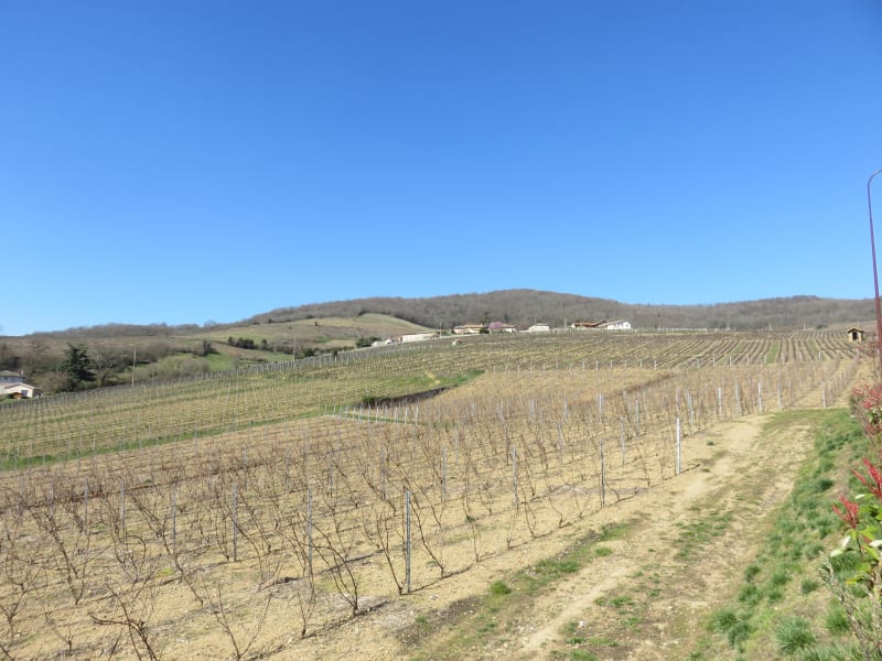Een boeiende tocht via de Trou du Loup, in het hart van de Beaujolais - Quincié-en-Beaujolais