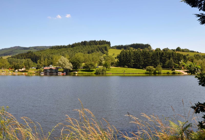 Beauté des lacs autour de Meyzieu - Les Allivoz, Meyzieu