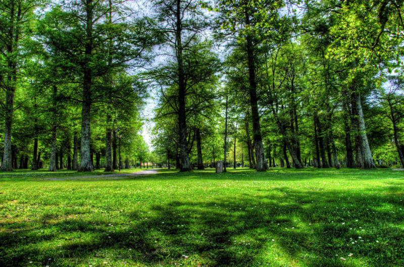 Escapade verte à Dax, dans le bois de Boulogne - Dax