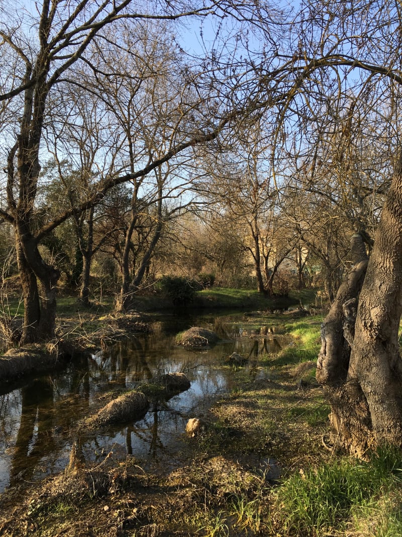 Sussargues et randonnée à marquer d'une pierre blanche - Sussargues