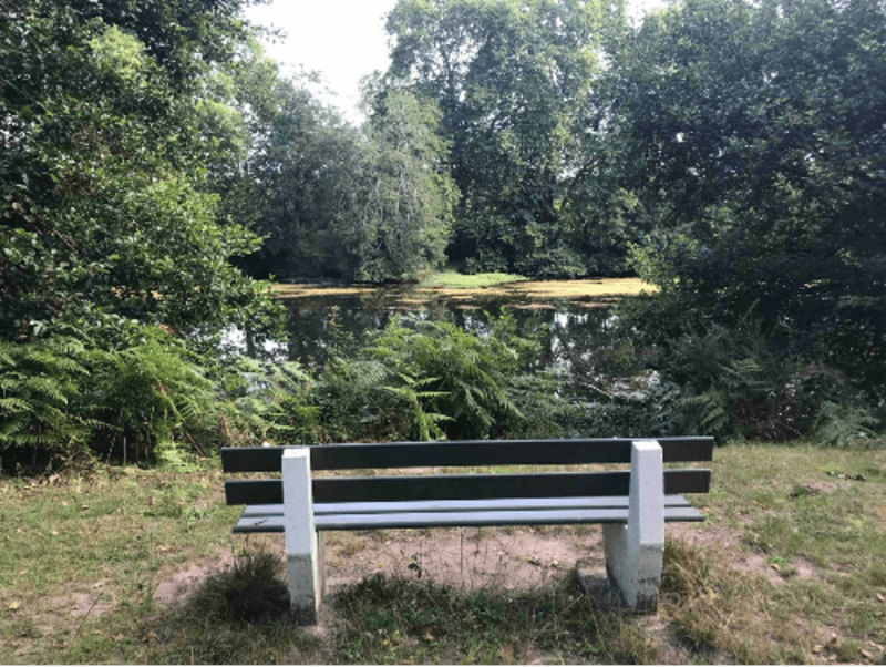 Dax et histoires entre potes au bois de Boulogne - Dax