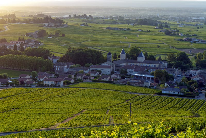 Tour du mont Brouilly : une rando à la vue à couper le souffle ! - Saint-Lager