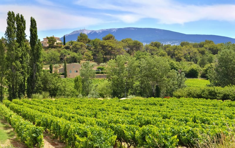 Caumont-sur-Durance, le sentier de Garance - Caumont-sur-Durance