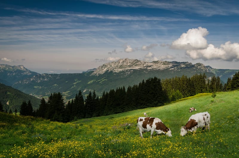 Evasion à La Clusaz et Tête du Danay en tête - La Clusaz