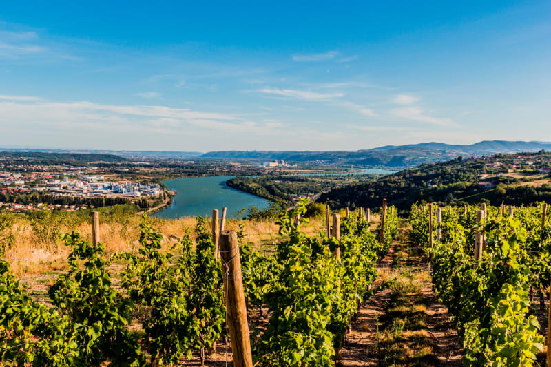 Entre vignes et Rhône à Saint-Geniès-de-Comolas - Saint-Geniès-de-Comolas
