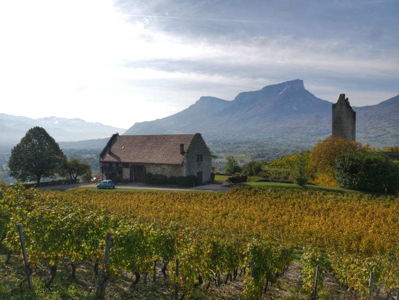 Wijngaarden van de Mont Ronjou en de Savoie - Saint-Jeoire-Prieuré