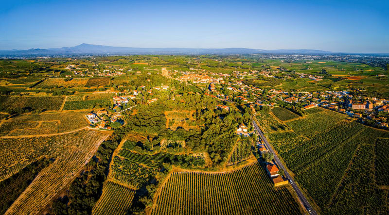 Terres de vignes à Châteauneuf-du-Pape et Islon St-Luc - Châteauneuf-du-Pape