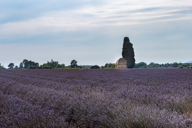 Aimargues en droomuitstap in de Petite Camargue - Aimargues