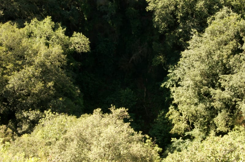 Au bord du Gouffre depuis Dions et douces mélodies - Dions