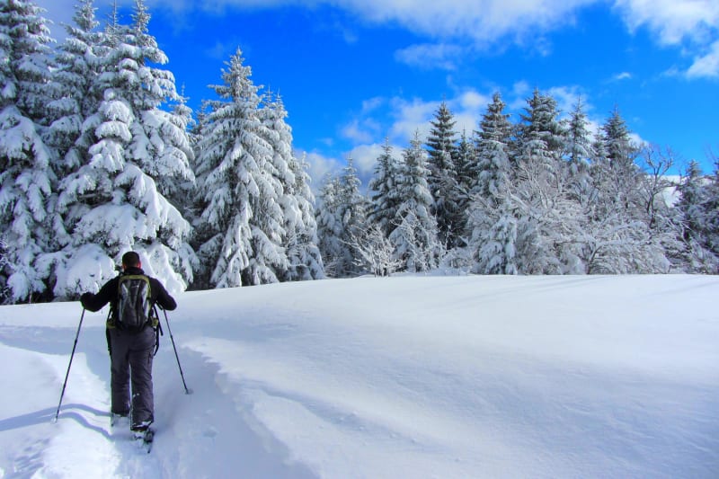 Pied du Mont Noir et balade dans les plaines blanches - Foncine-le-Haut