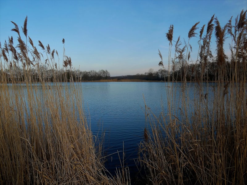 Au pays des étangs autour de Saint-Paul-de-Varax - Saint-Paul-de-Varax