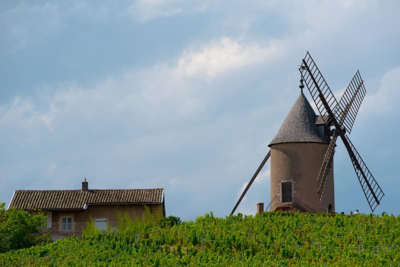 Fleurie : vue époustouflante depuis la chapelle de la Madone - Fleurie