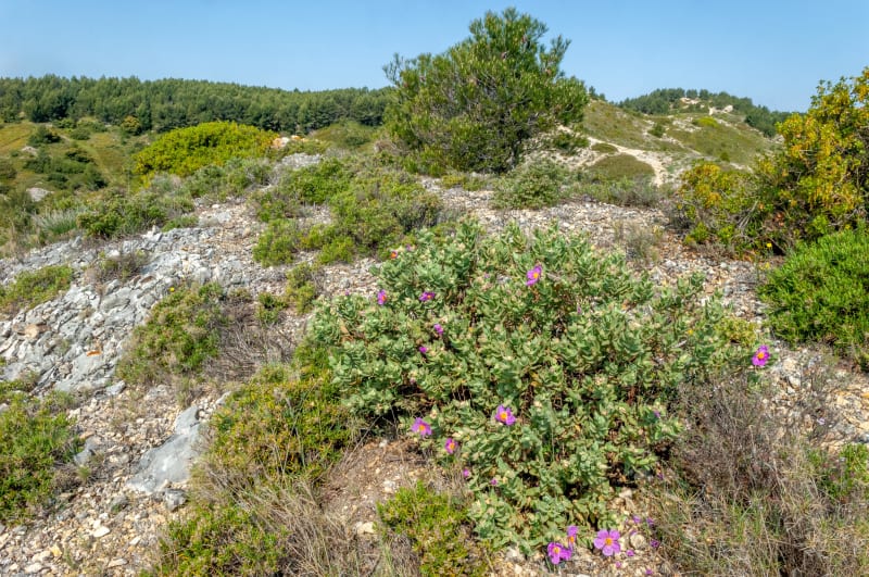 Randonnée à Barbentane et déconnexion entre amis - Barbentane