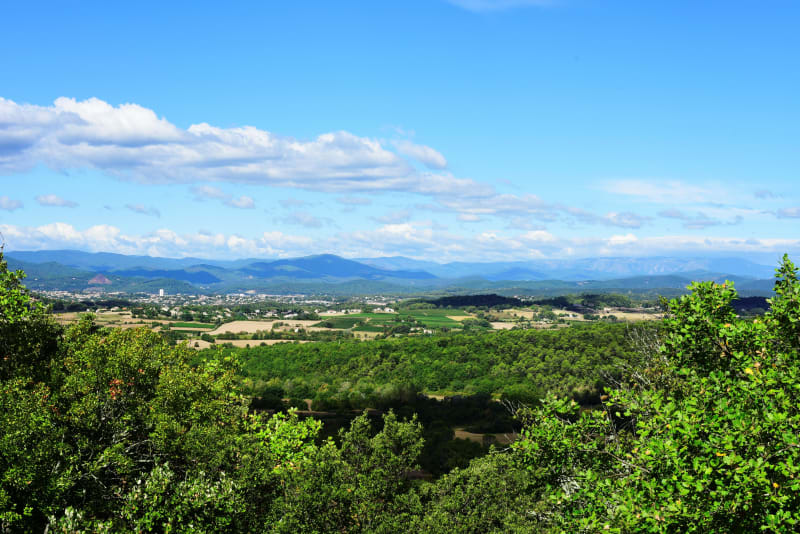 Aigaliers, entre cigales, vignes et forêts - Aigaliers