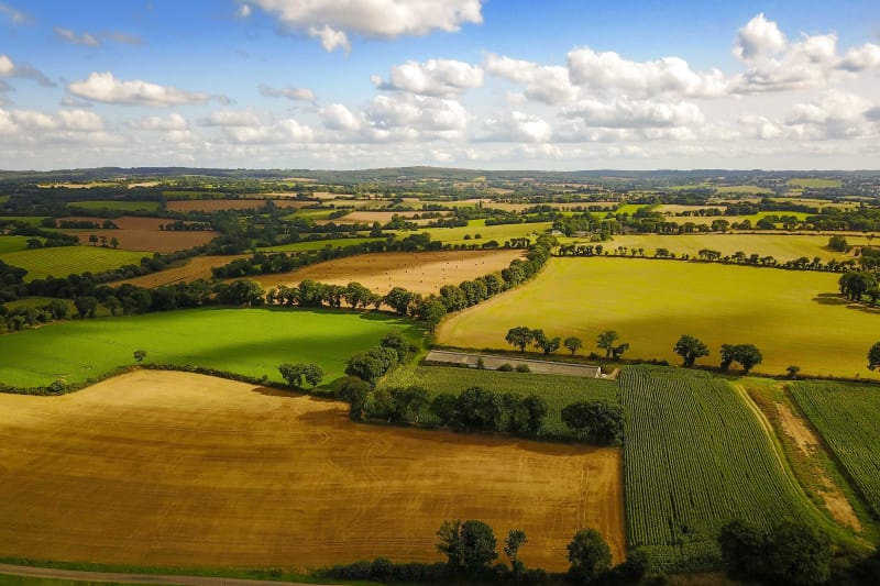 Campagne et voie romaine à Plélan-le-Grand - Plélan-le-Grand