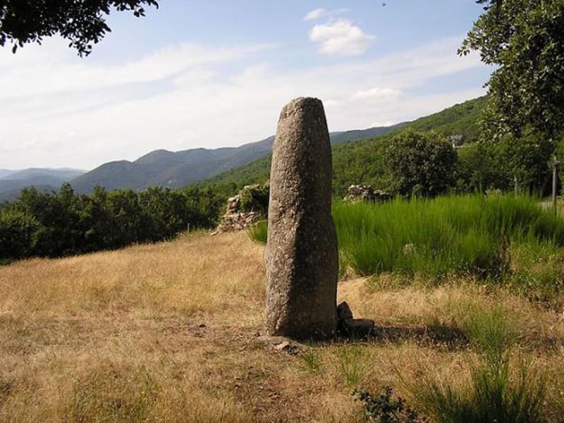 Sur les sentiers des menhirs de Saint-Roman-de-Codières - Saint-Roman-de-Codières