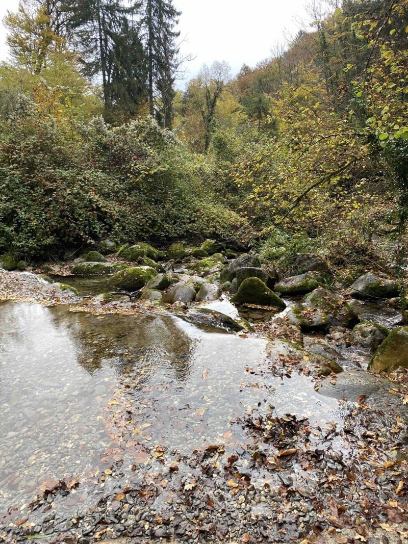 Balade à Chapareillan et le long du Cernon - Chapareillan