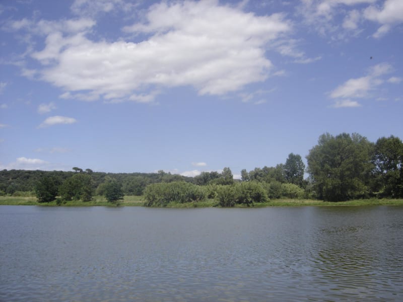 Balade à l'étang d'Attuech en toute tranquillité - Massillargues-Attuech