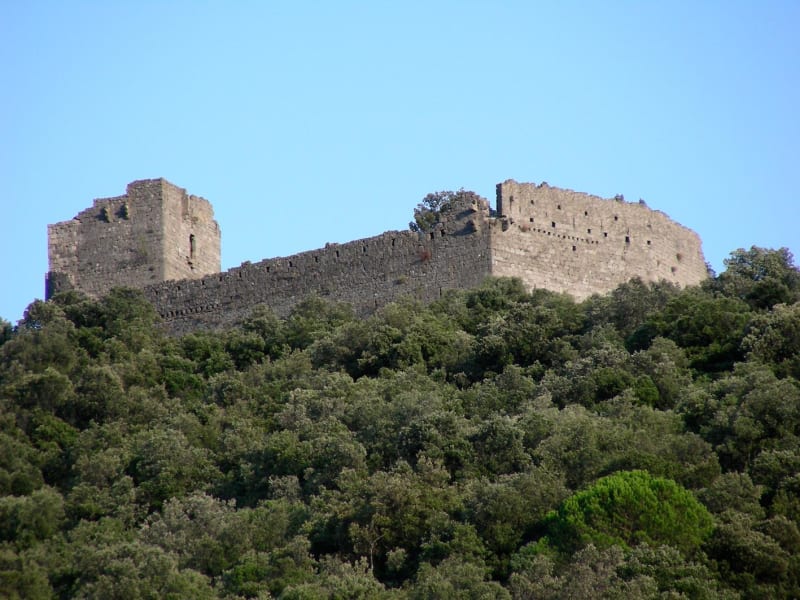 Excursion au goût exquis à Tornac - Tornac