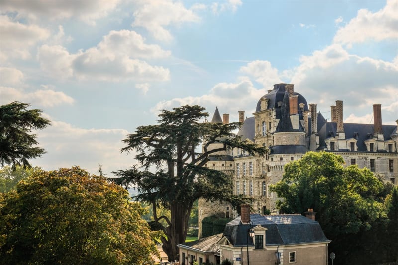 Brissac: de la vigne aux celliers du château ! - Angers