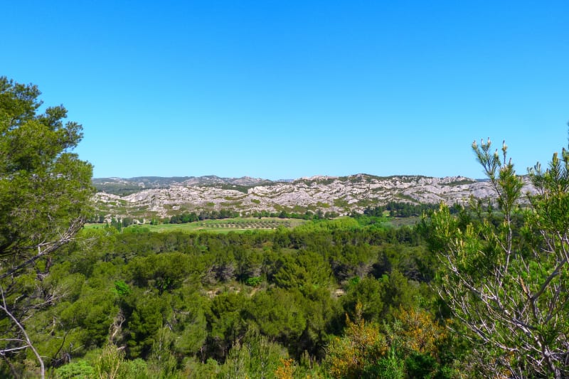 Ga op en neer van Caisses naar Castellas vanuit Mouriès - Mouriès