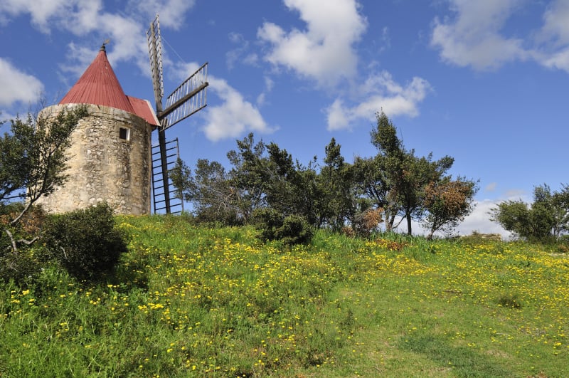 Fontvieille et moment hors du temps au moulin de Daudet ! - Fontvieille