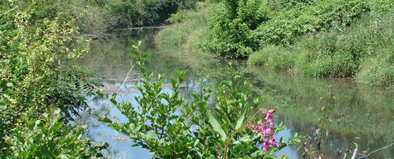 Sentier Envirhôna et beautés du Haut-Rhône - Les Avenières Veyrins-Thuellin