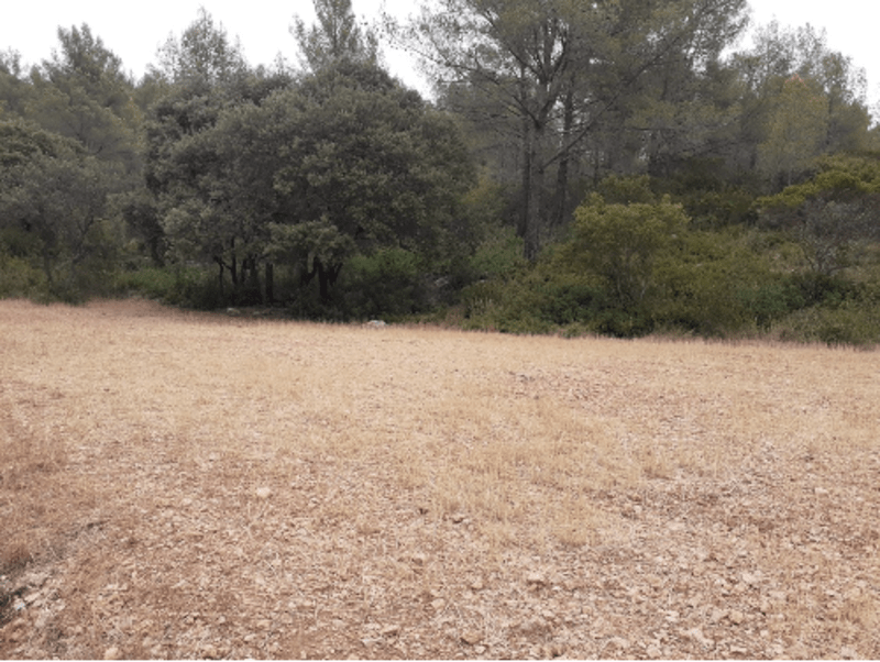 Rando et ambiances provençales à quelques pas d'Ollioules - La Courtine, Ollioules