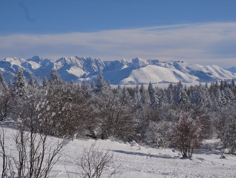 Winterwandeling in Les Ramées en bevroren schoonheid - Lans-en-Vercors