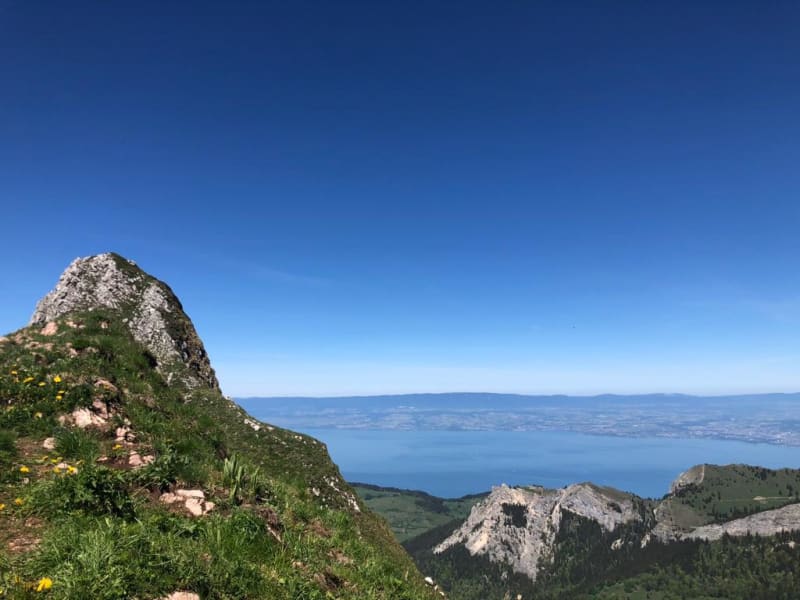 Presque Dent d'Oche - Bernex