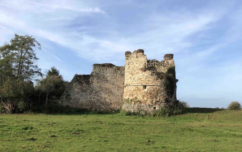 La balade des cigognes Saint-Fromond - Saint-Fromond