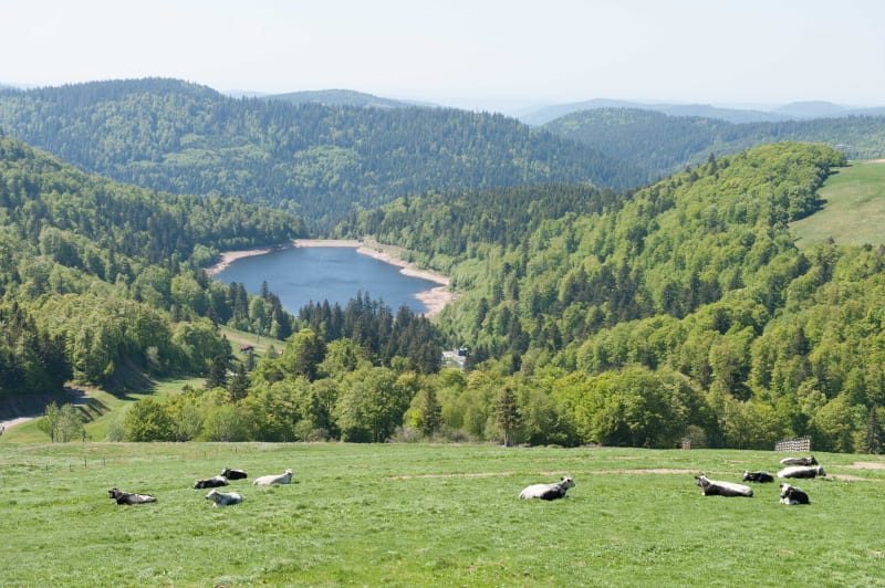 Petite promenade en famille dans les Ballons des Vosges - Orbey