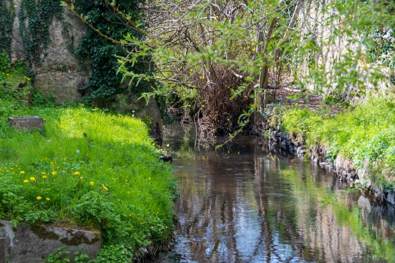 Instant cool dans la vallée de la Bièvre via un bout du GR® 11 - Igny