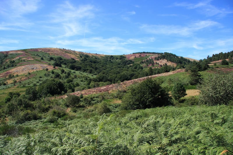 Wandelen geserveerd op een schotel op Mont Caroux - Rosis